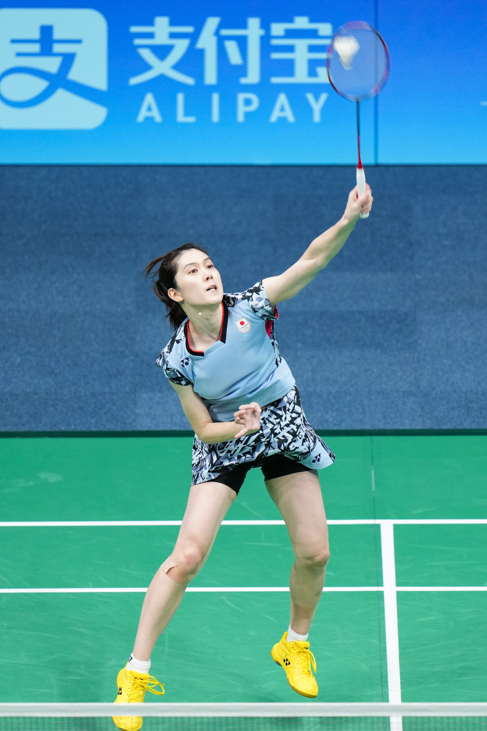 每个方案都 每个方案都